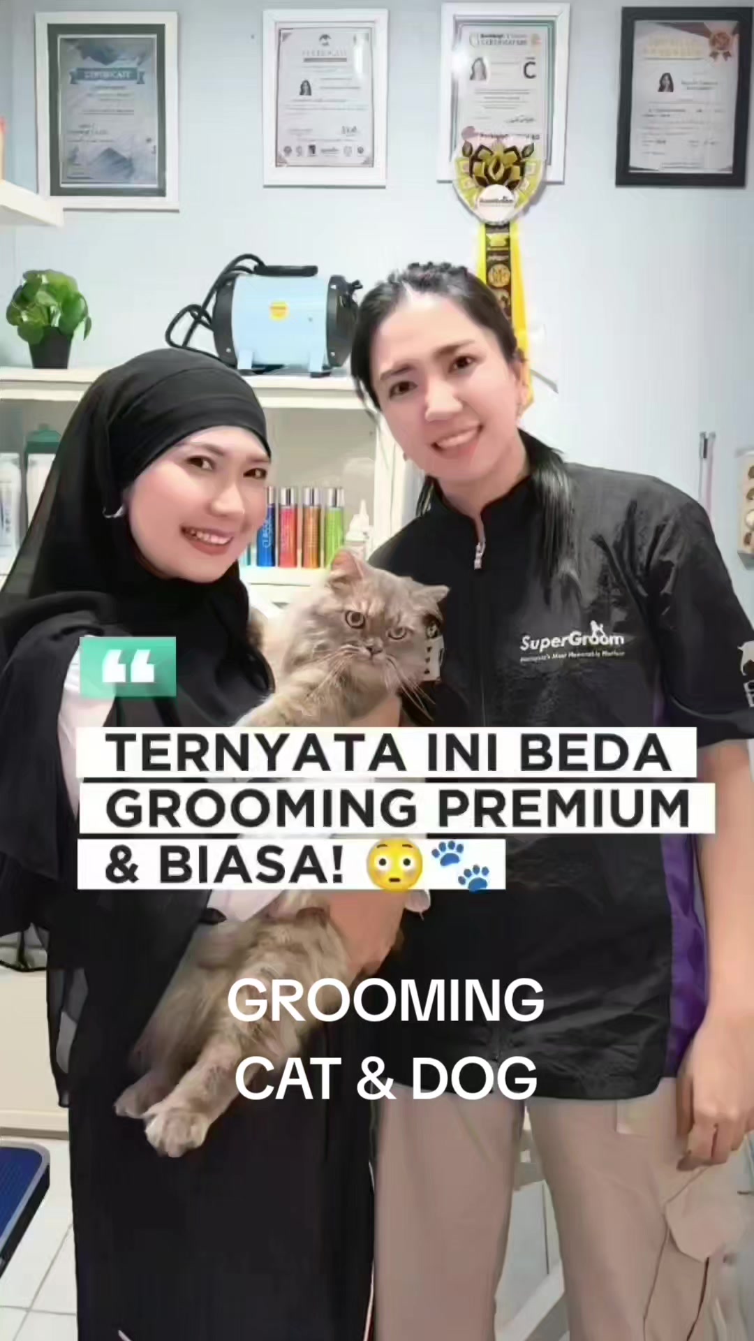 @Vdb petshop
