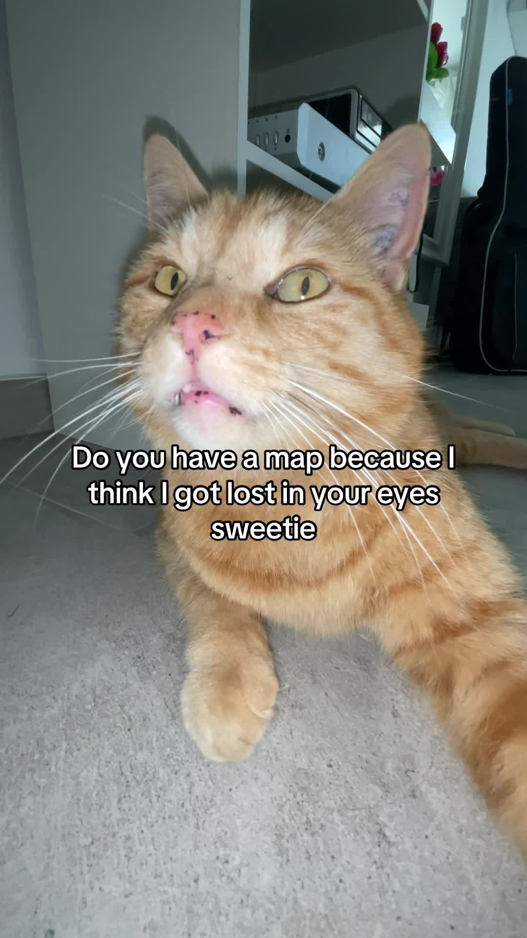 @Simba