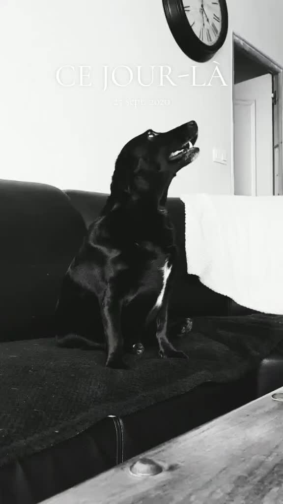 @❤️DealeuseDeSourires❤️