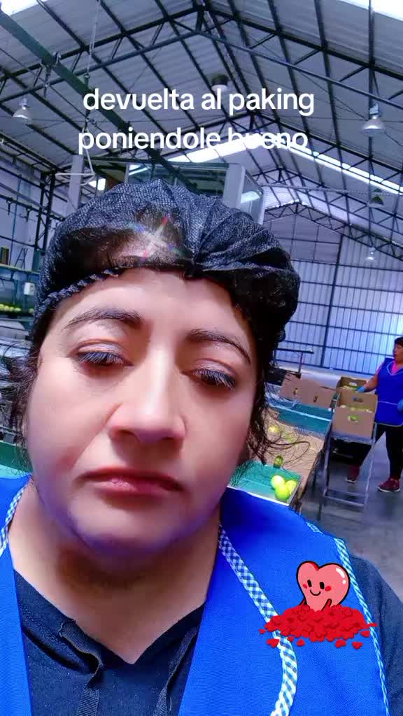 @evemaca