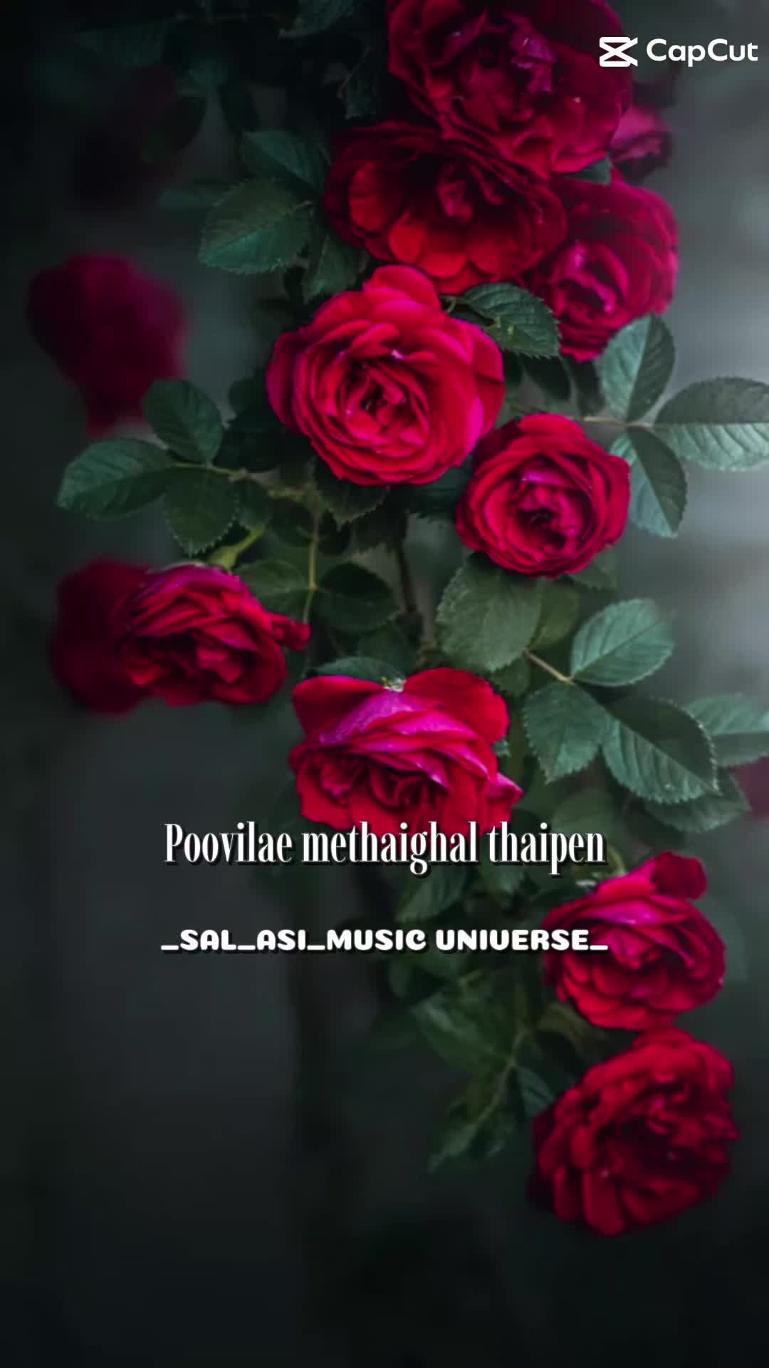 @Suganthi