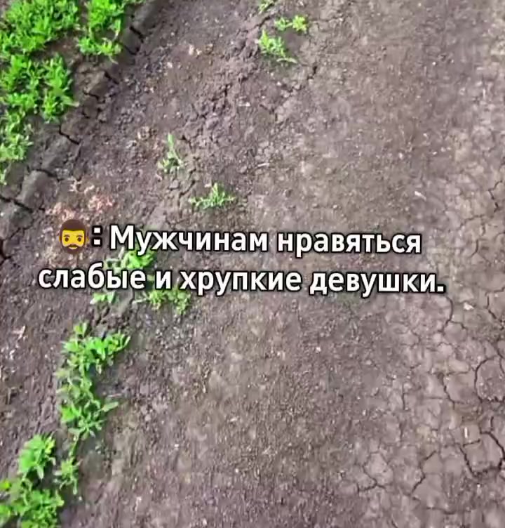 @ПОZЫВНОЙ БАСКАРА