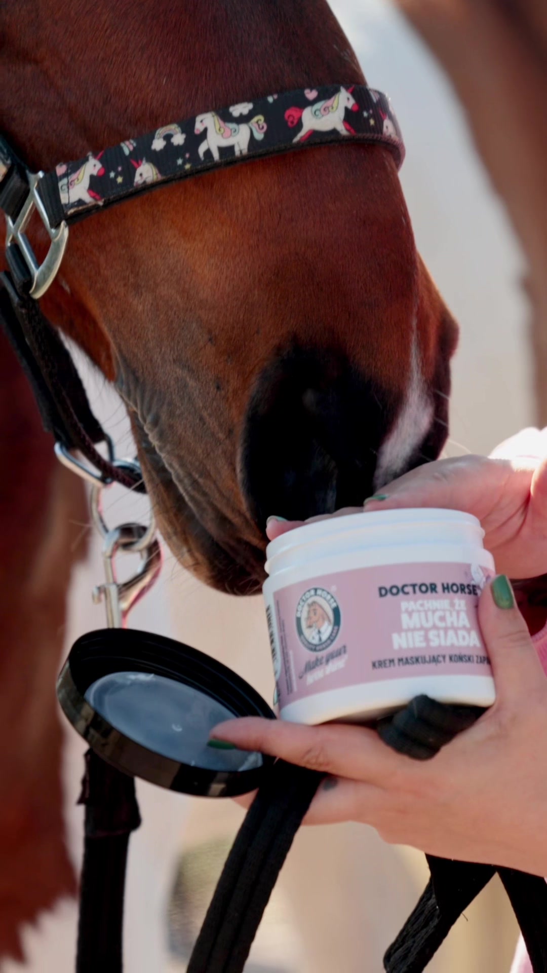 @Doctor Horse