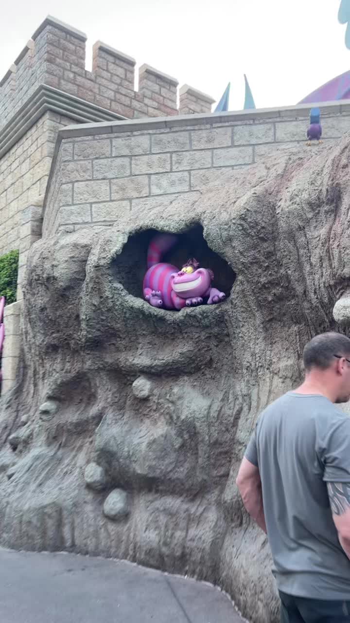 @❤️sugakelli@disney❤️