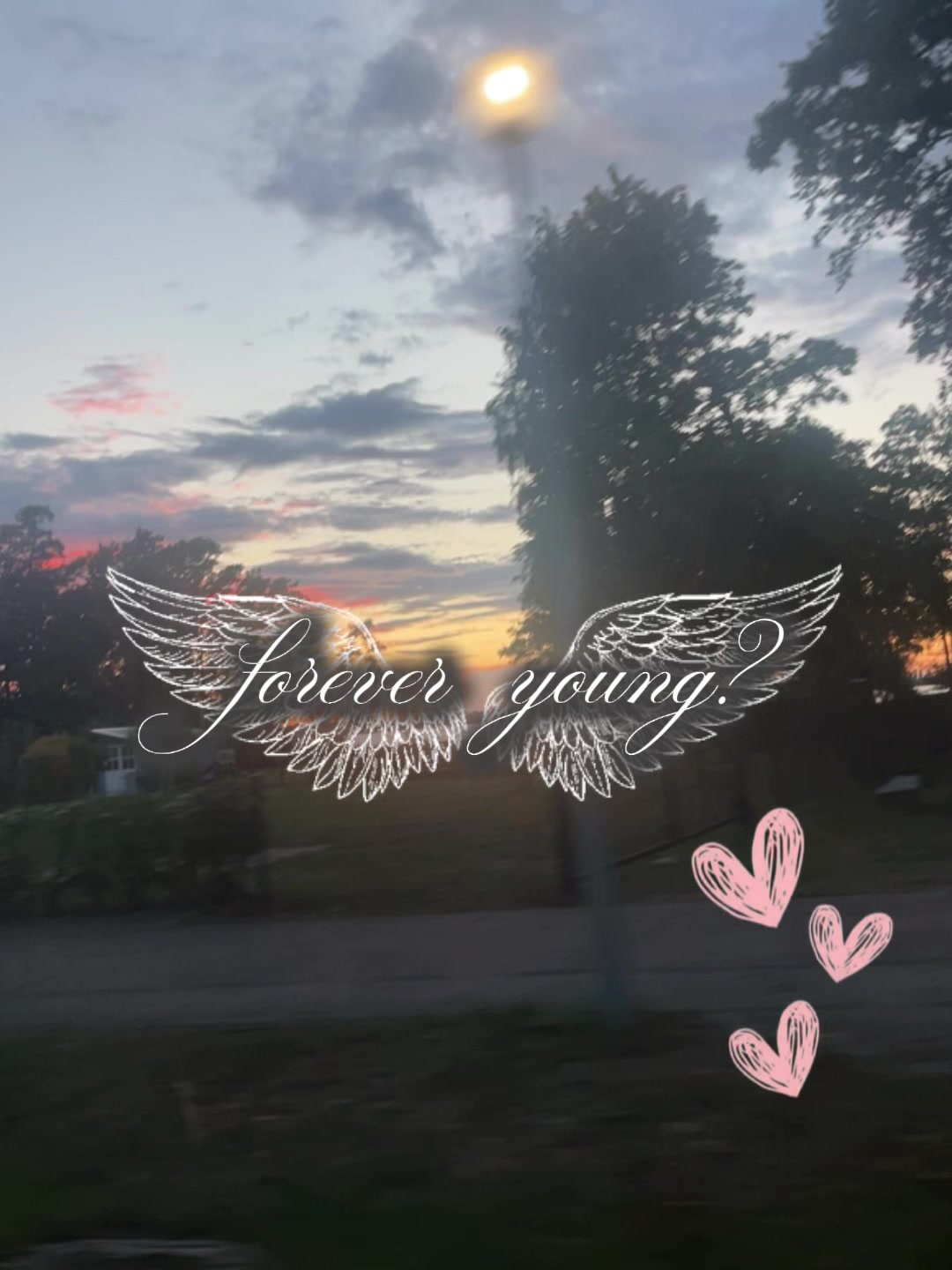 @🍂