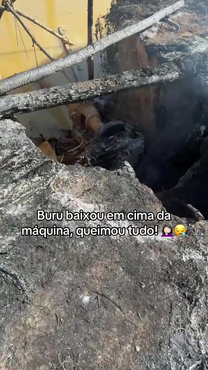 @Daniela❤️