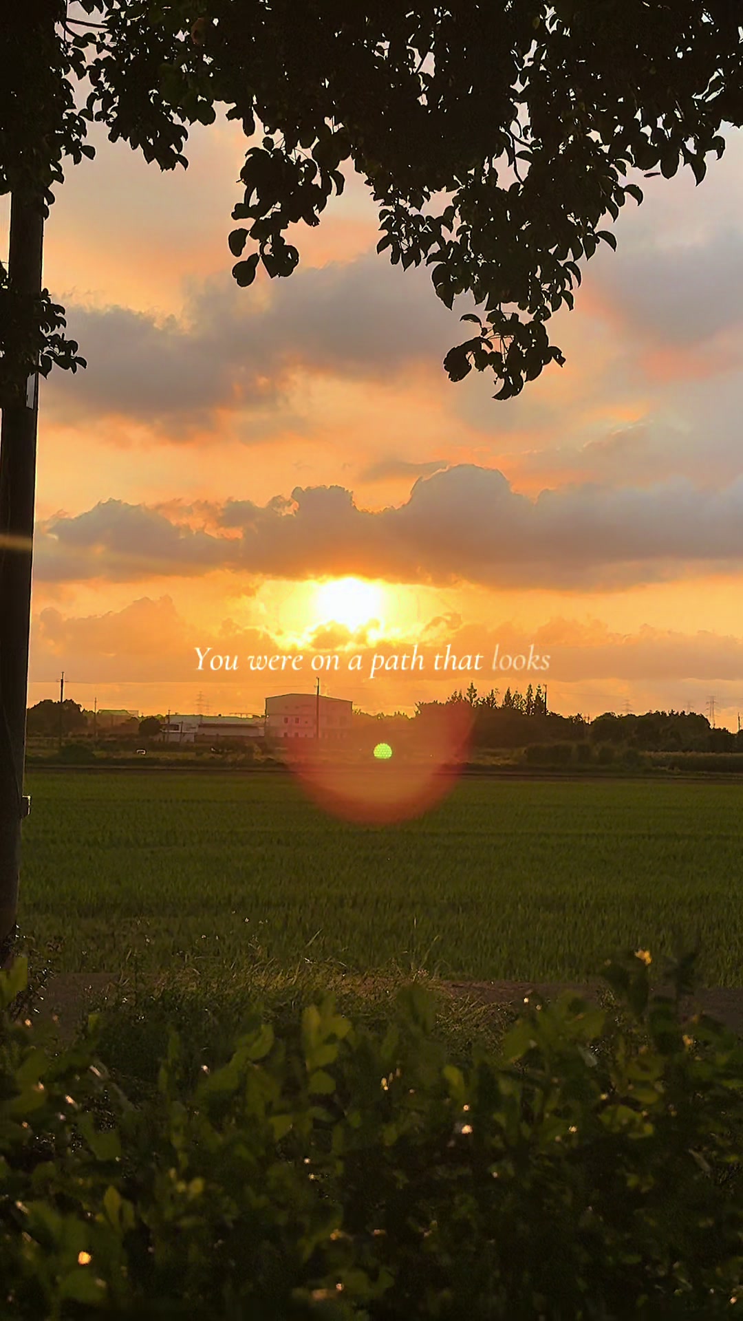@n i c a ᥫ᭡