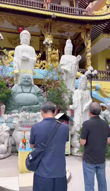 @Bạch yến ho&agrave;ng