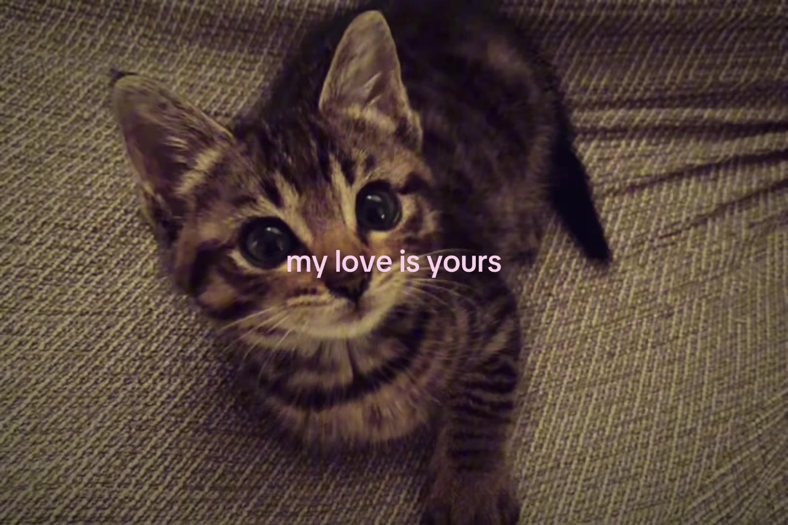@sxalenz