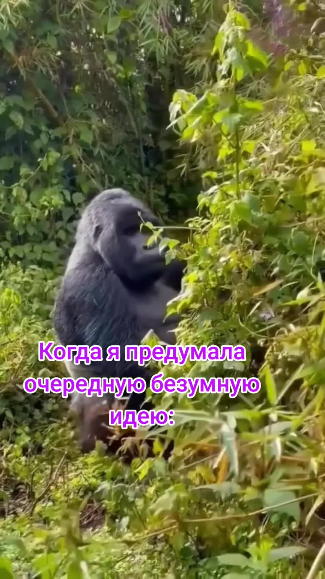 @♥️ludmilа♥️