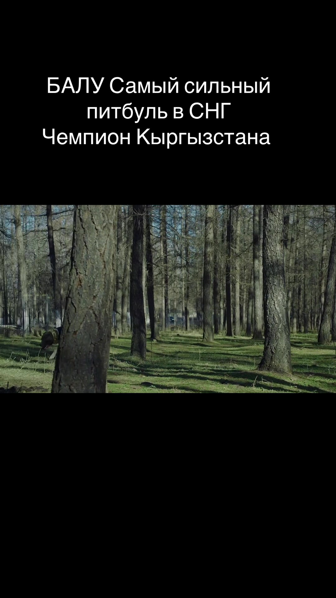 @БАЛУ