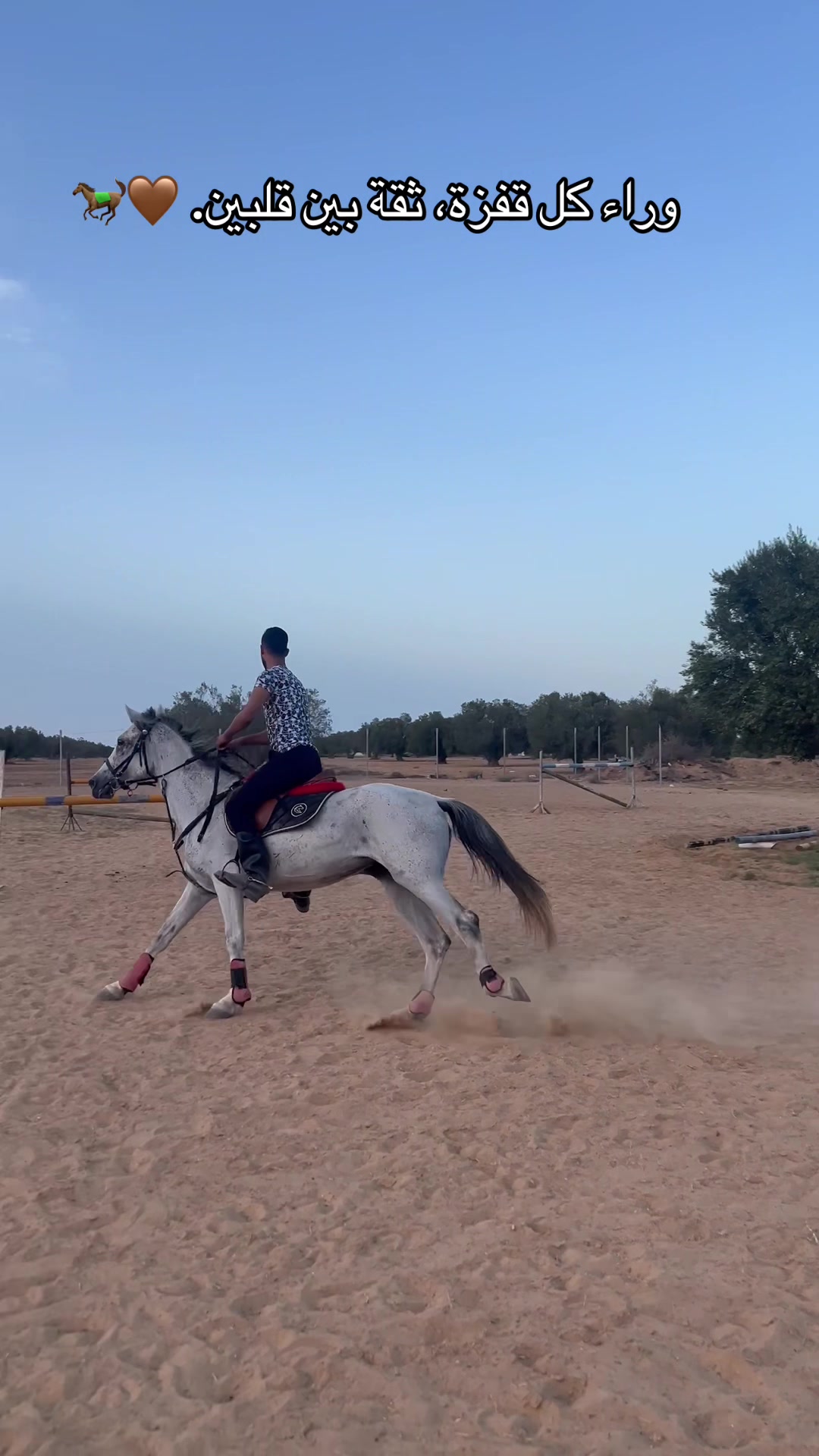 @Feres Ben Amor 🏇