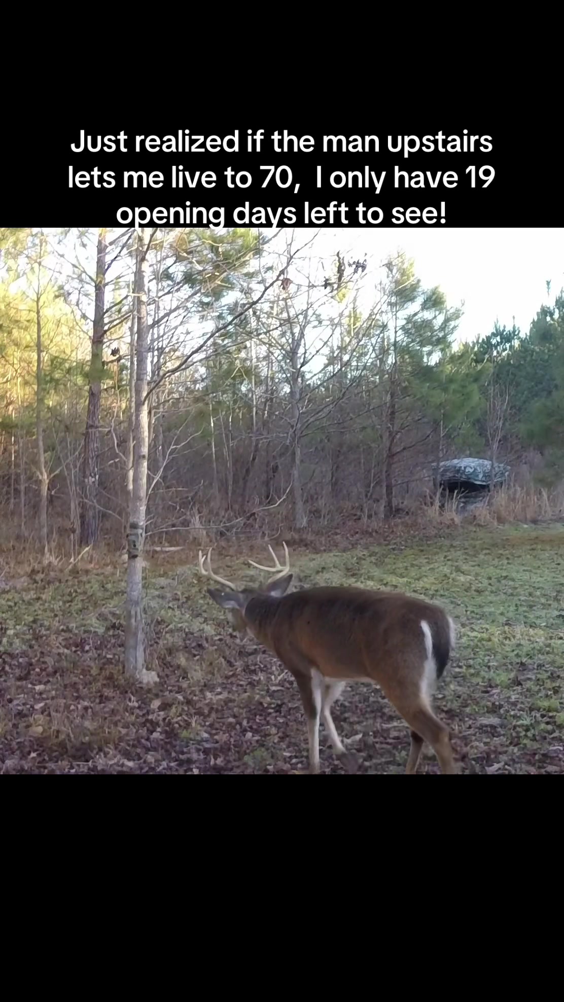 @🦌 Megabucks Outdoors 🦌