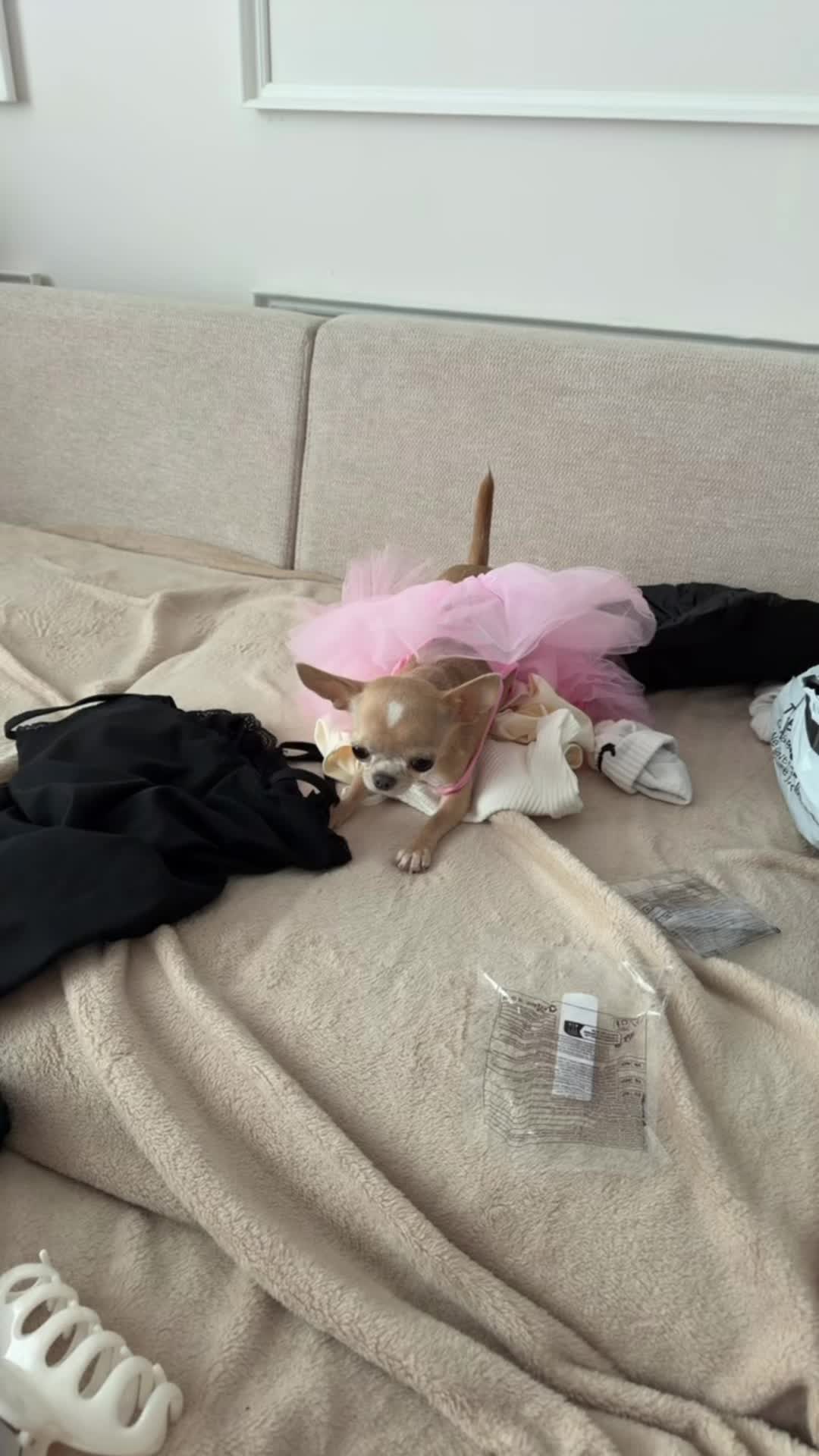 @Vlada
