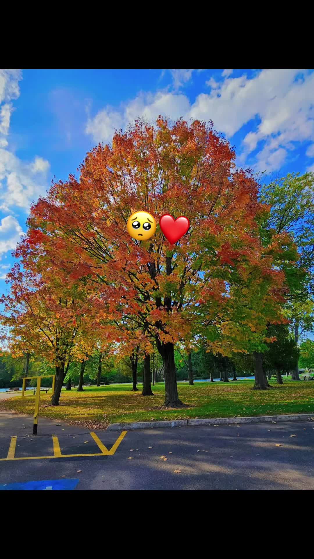 @yina_txs1