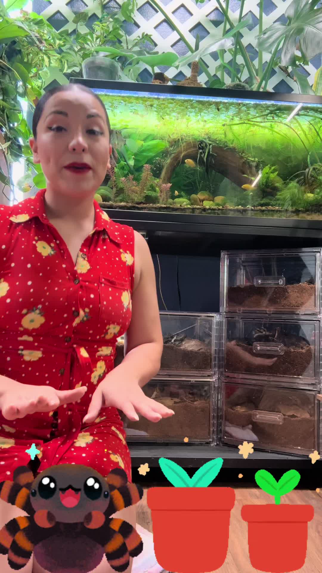@dannys_fish_and_plants