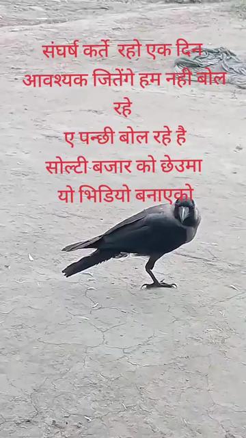@SHIVJI BAITHA