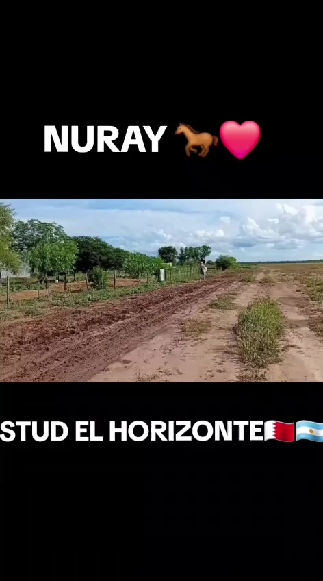 @EMANUEL 😶&zwj;🌫️🇫🇷
