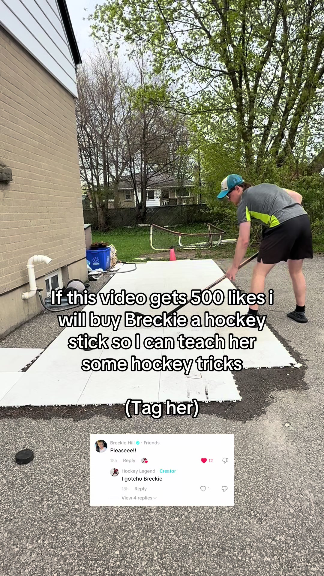 @Hockey Legend