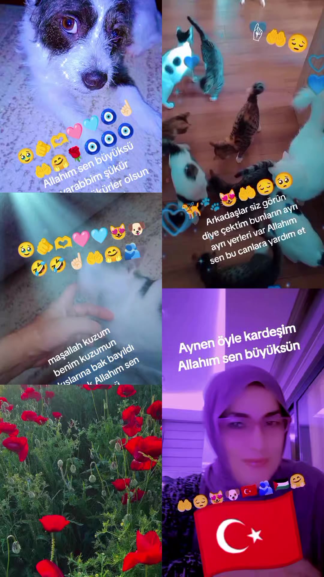 @cennet