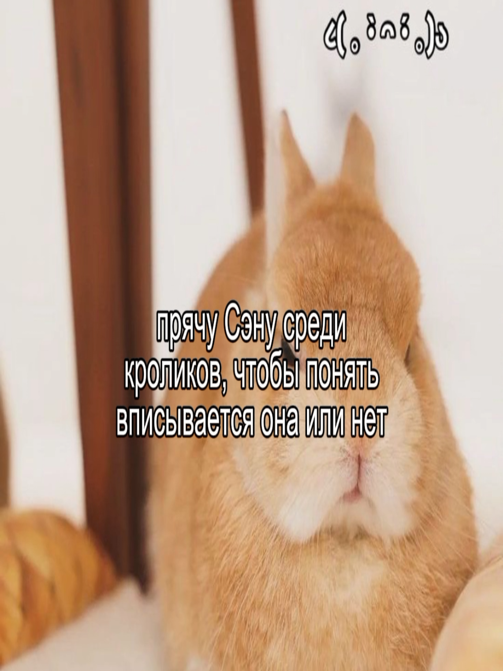 @𝑆𝑎𝑠ℎ𝑎⊹𝑊𝐸𝐵𝐿𝑈𝑀𝐸