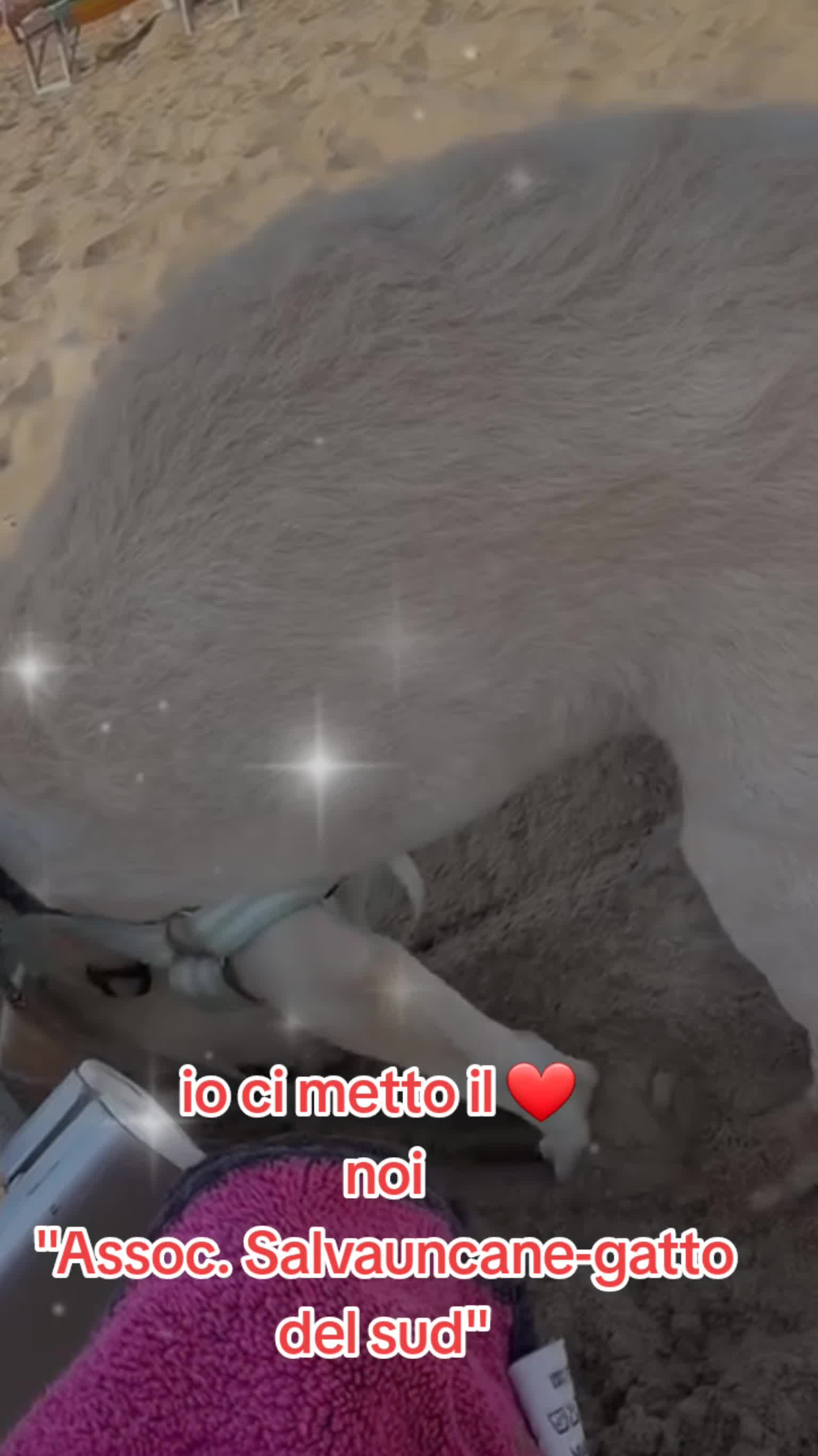 @Vanessa Loria