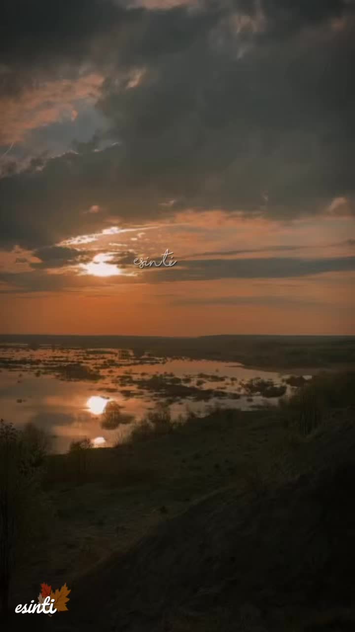 @༄༄𝓔𝓼𝓲𝓷𝓽𝓲༄༄