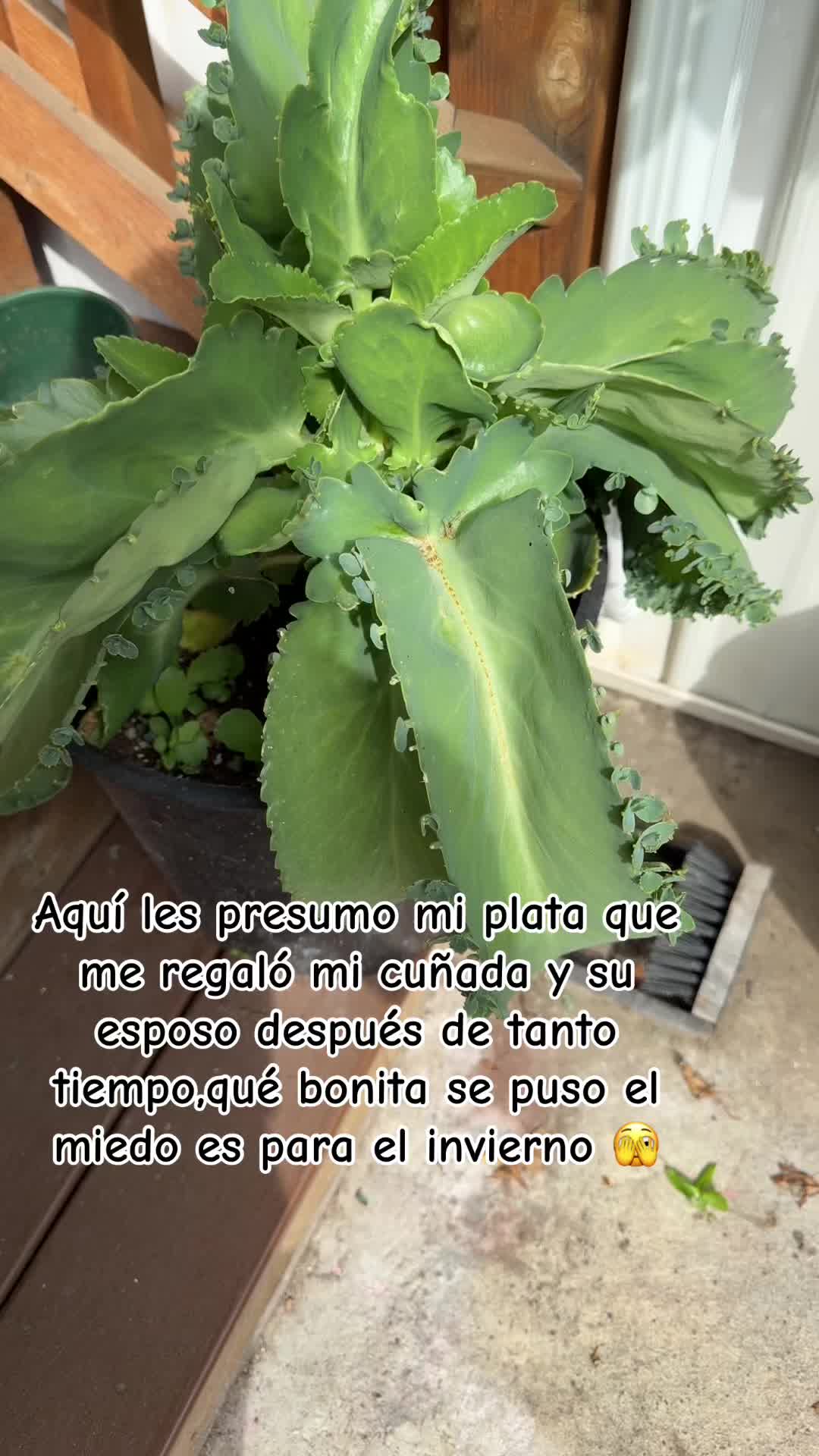 @azucenamtz28