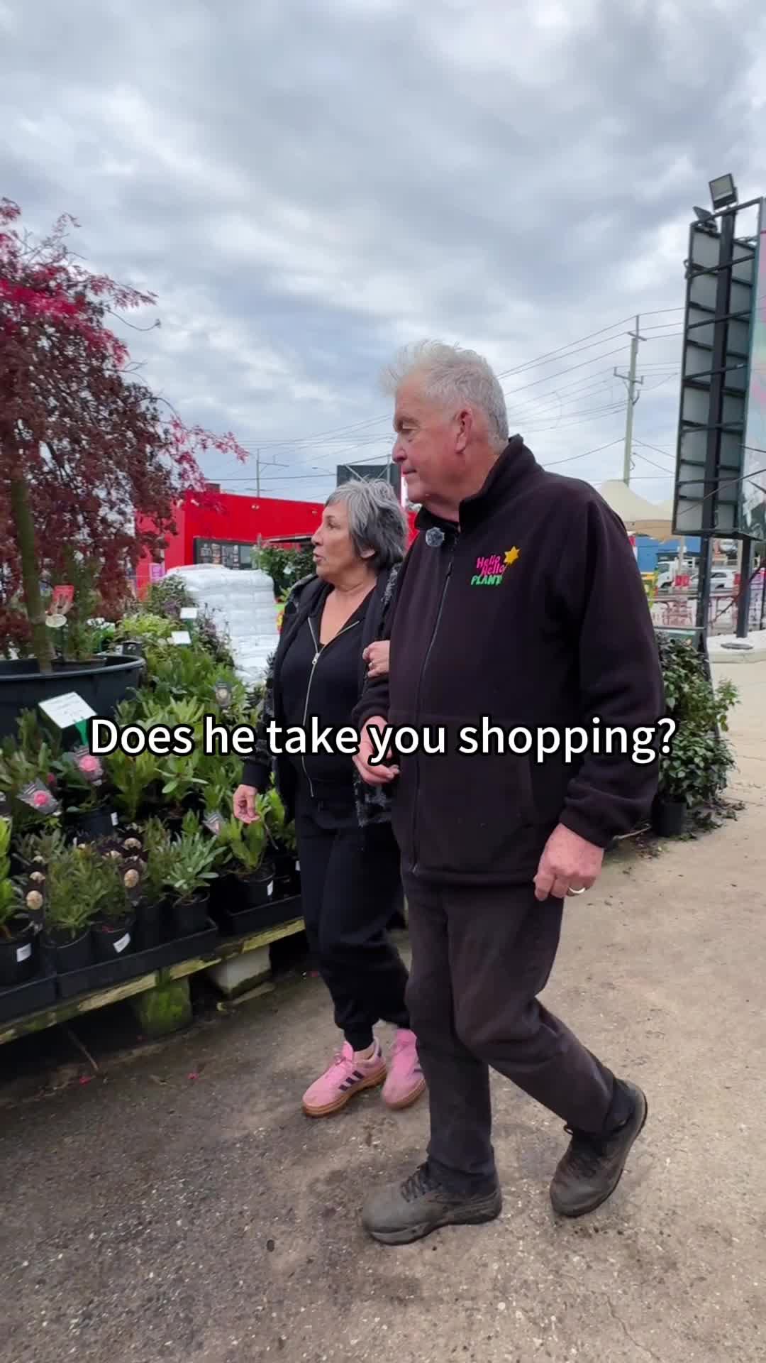 @Hello Hello Plants Nursery