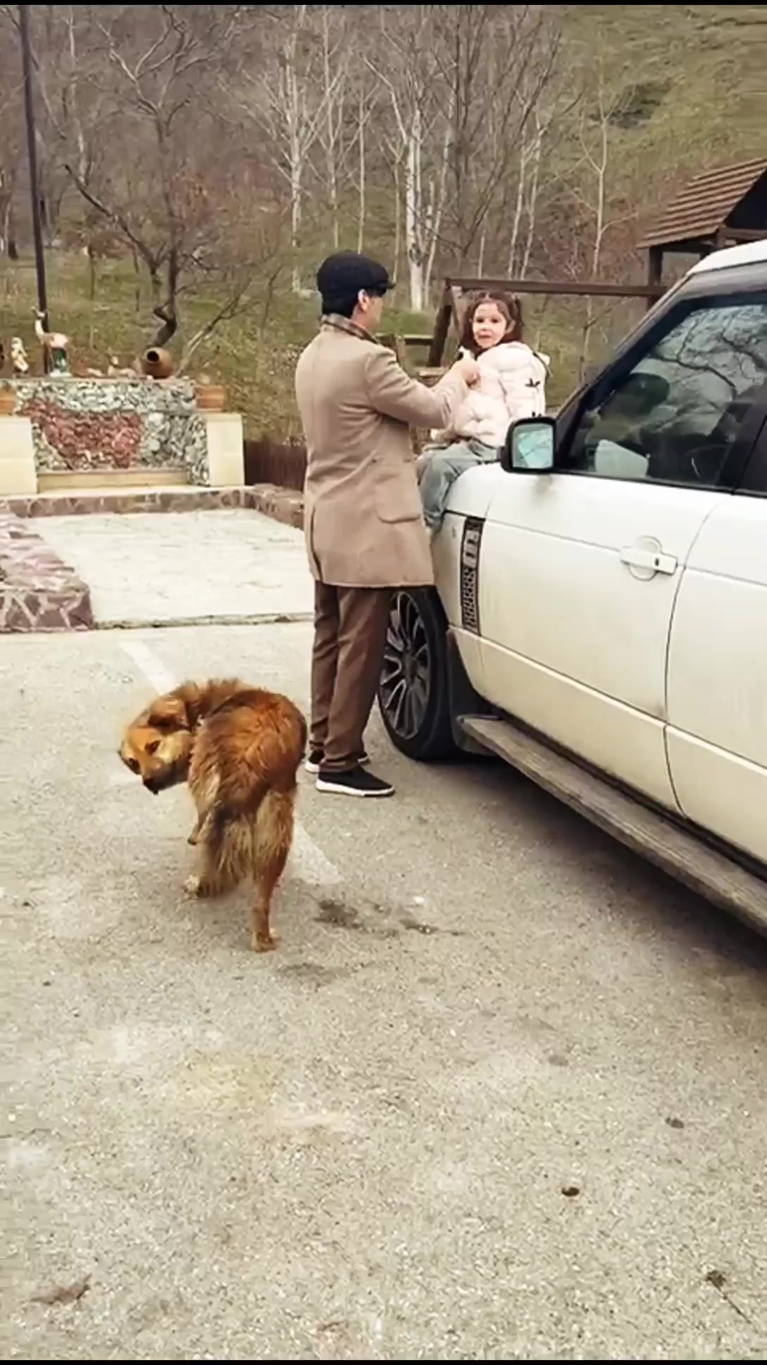 @Samir İlqarlı ✔️