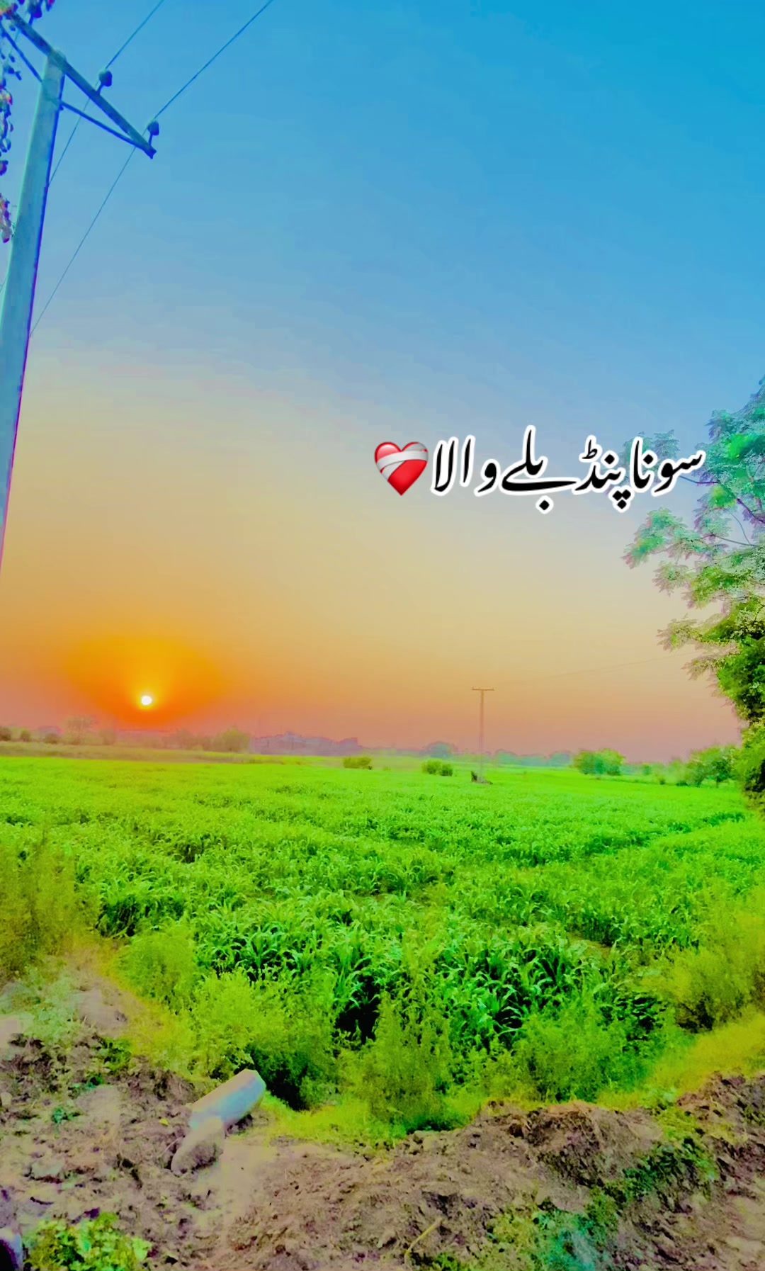 @سونا پنجاب 🌾🍂🥀