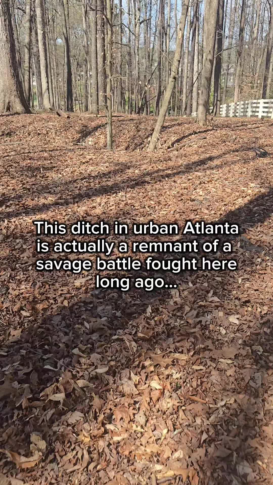 @RelicRiley