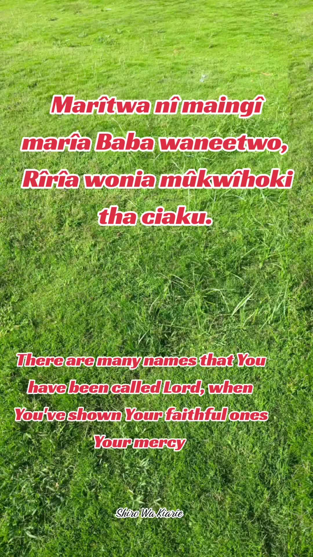 @Shiro Wa Kiarie