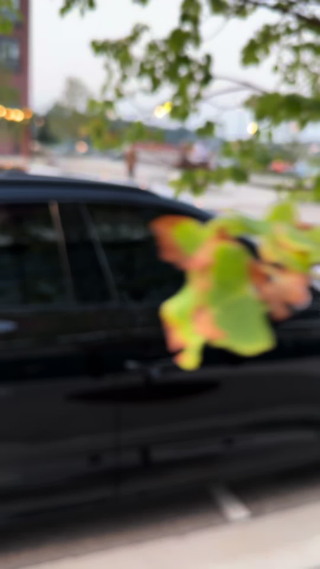 @shftySq5