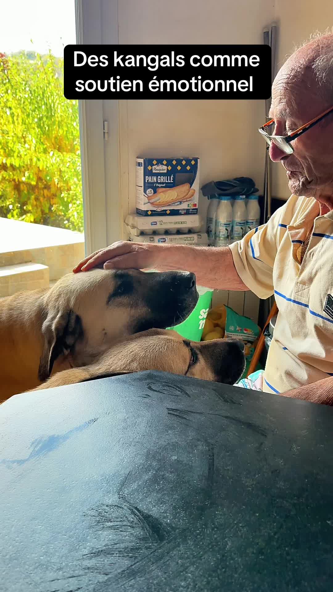 @Purekangal