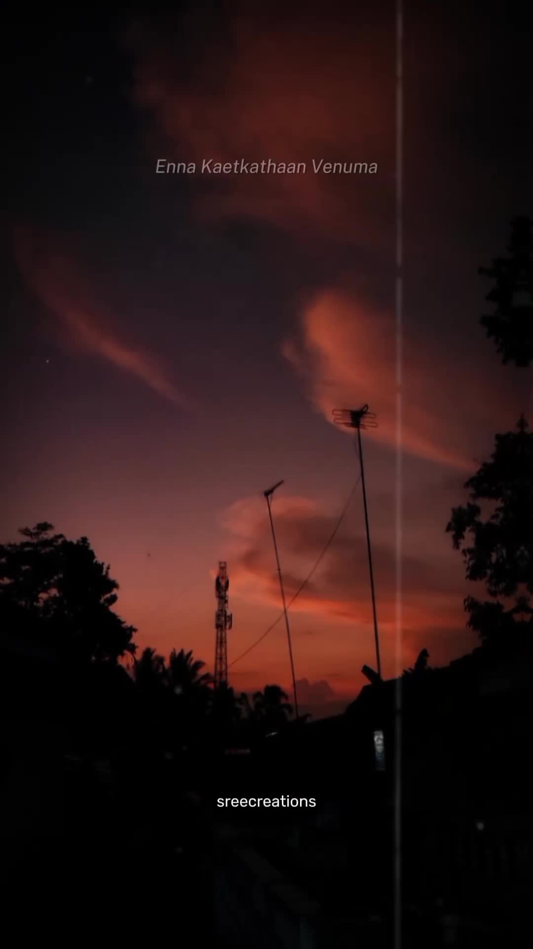 @𝓶 𝓱 𝓪 𝓷 𝓾 𖹭.