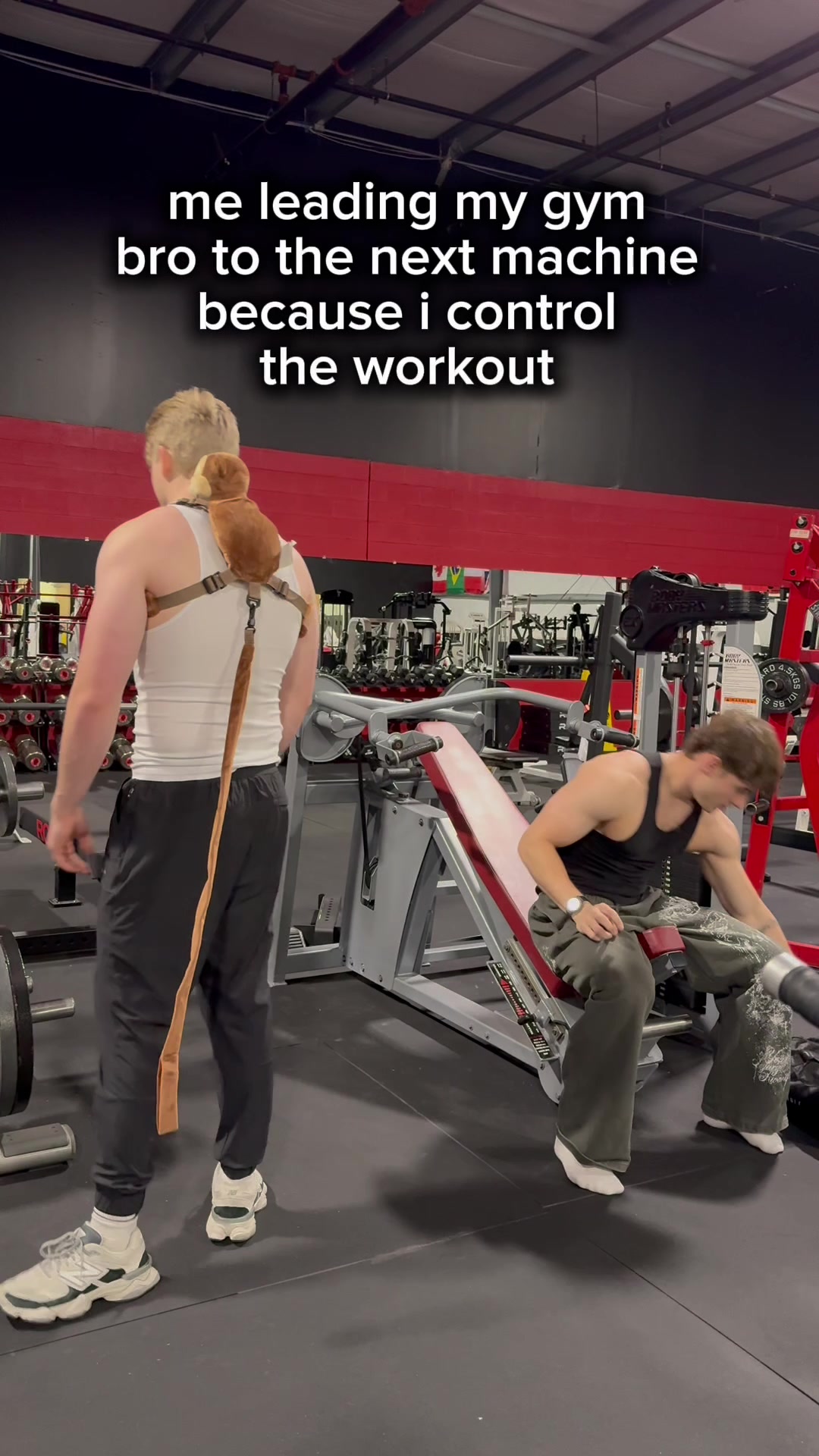 @MDN Lifts