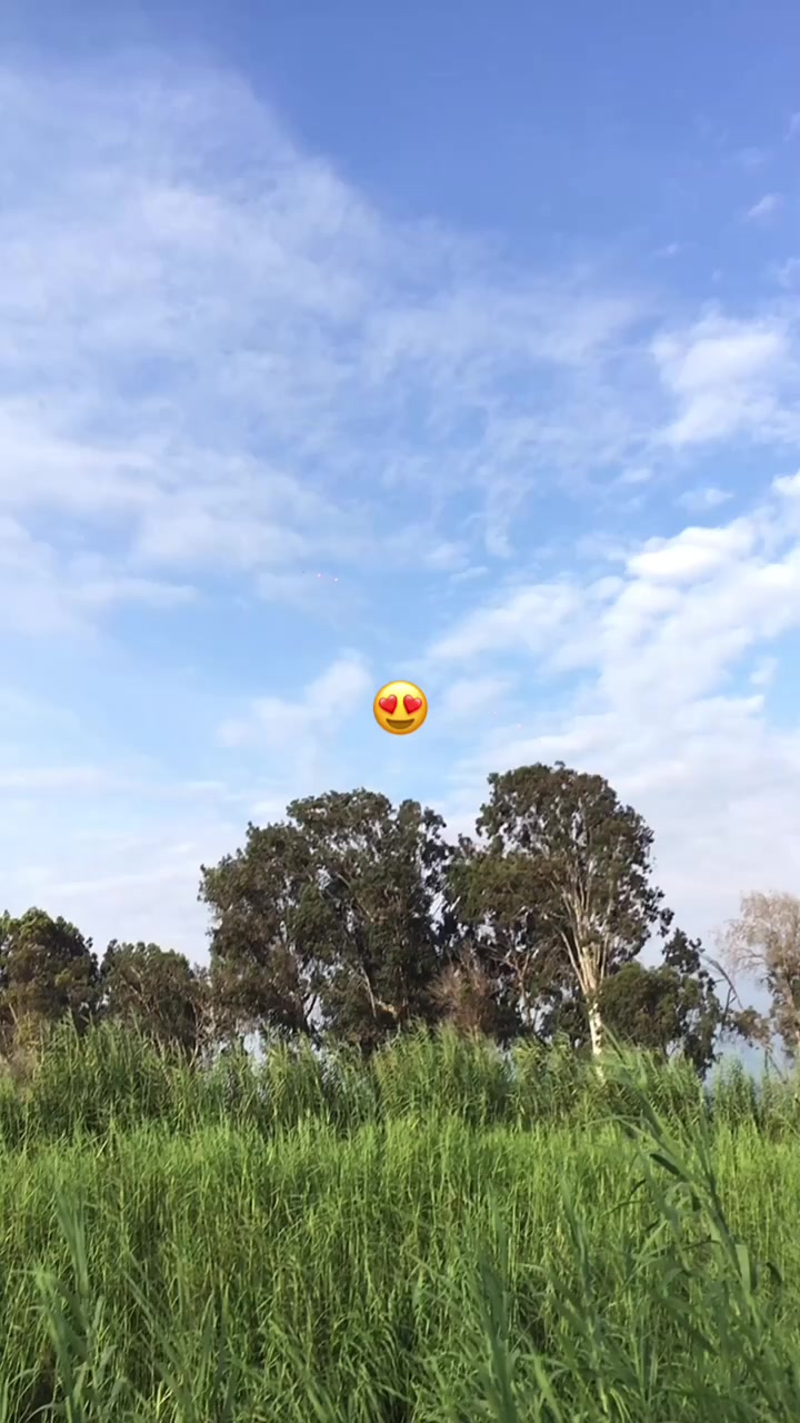 @cachetitos225