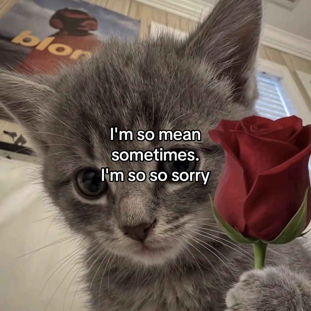 @Alice.cattok