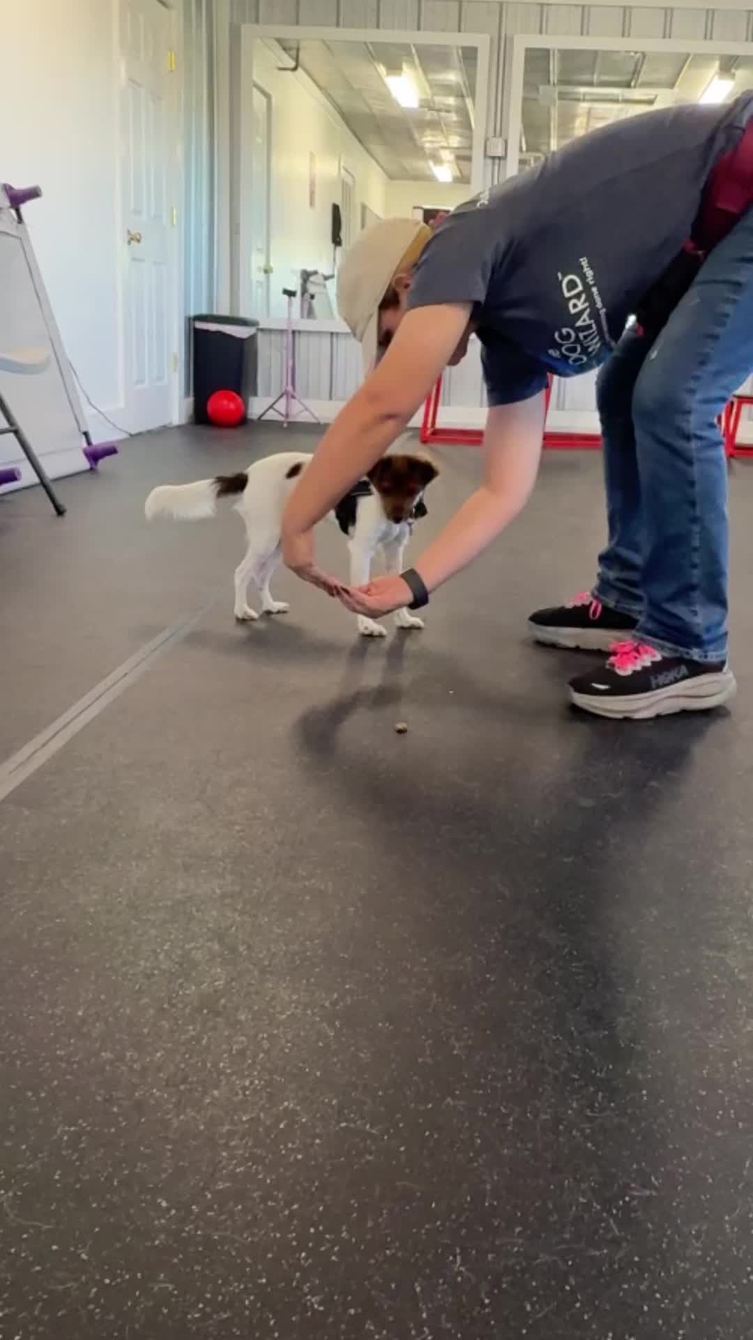 @Megan 🐶 Trainer ❌