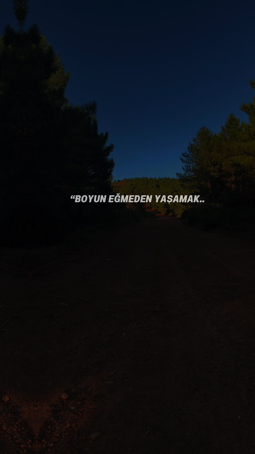 @🕊️♥️Zilan♥️🕊️