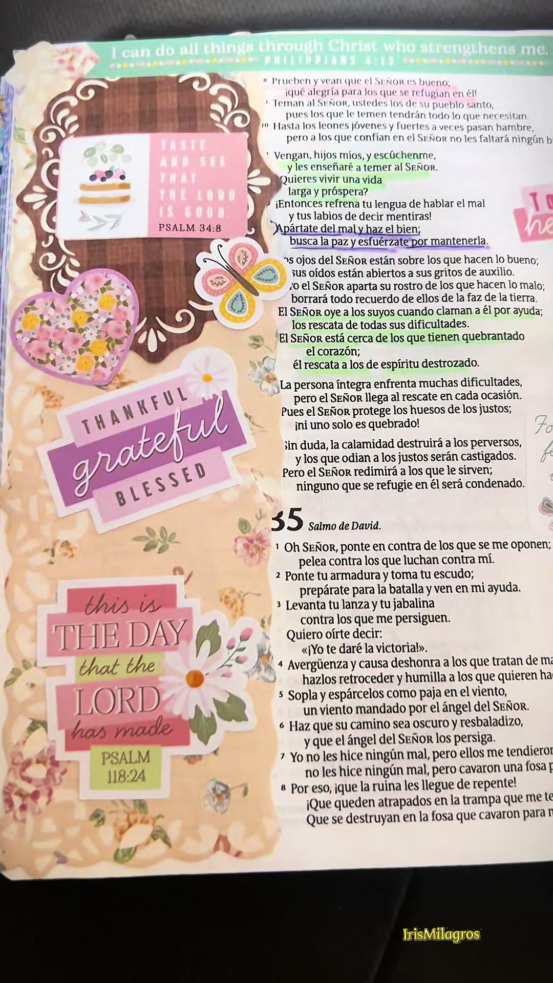 @IrisMilagros 🌼🌸