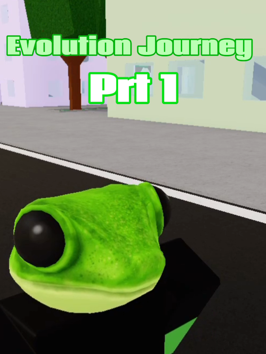 @KOTO THE FROG