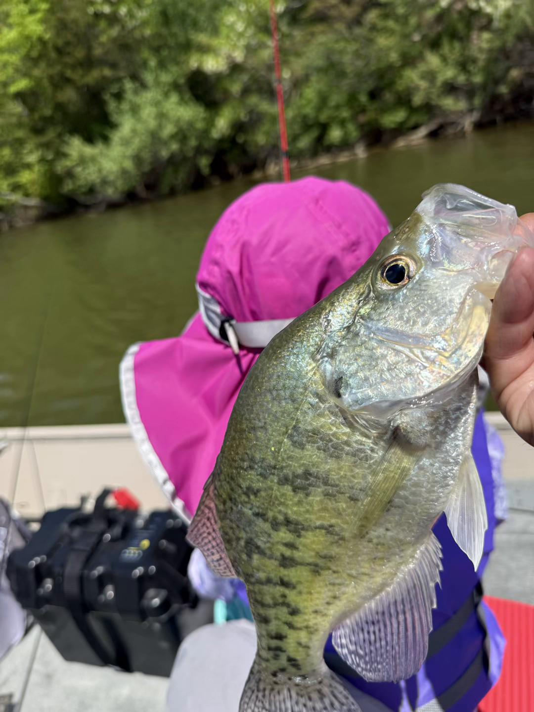 @Dave&rsquo;s Lazy Baits