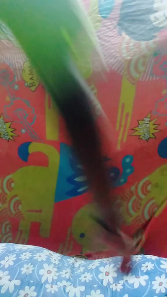 @Ayush Raj 999