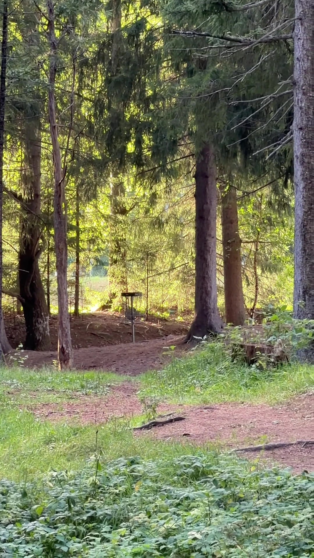 @Eero Vahvaselkä