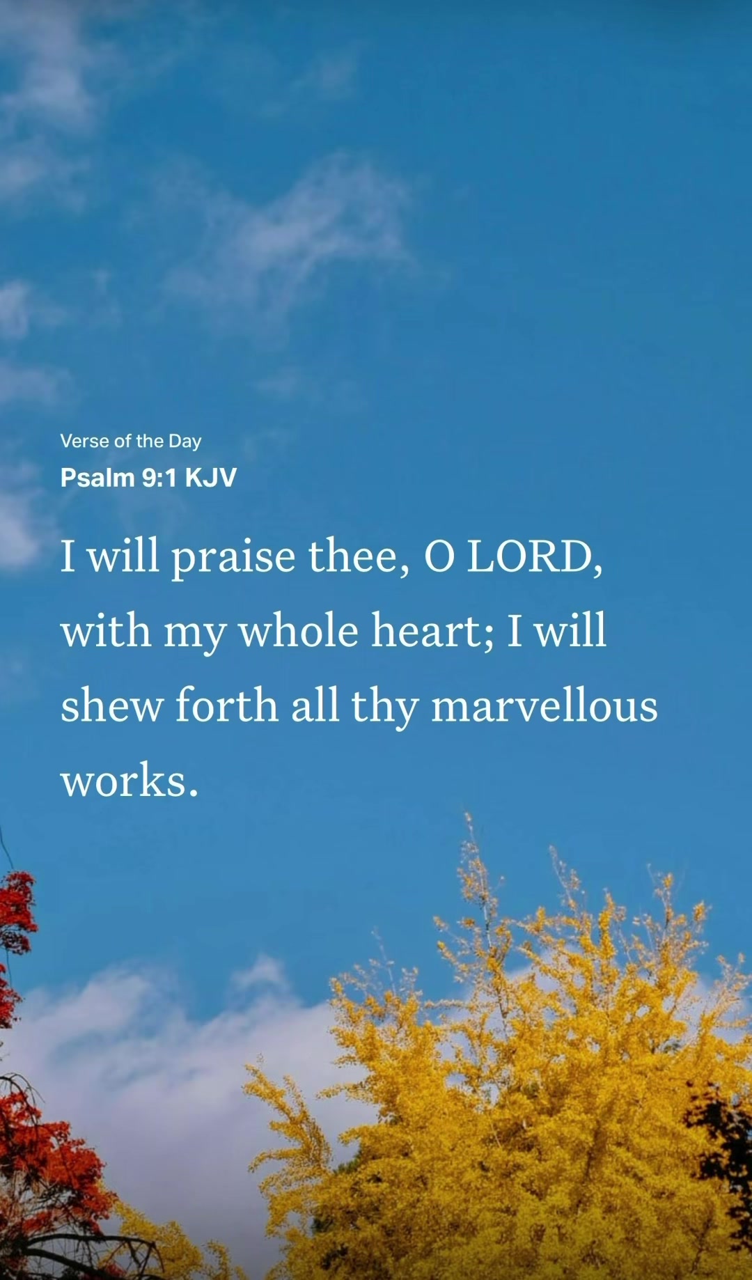 @VoiceOfScripture