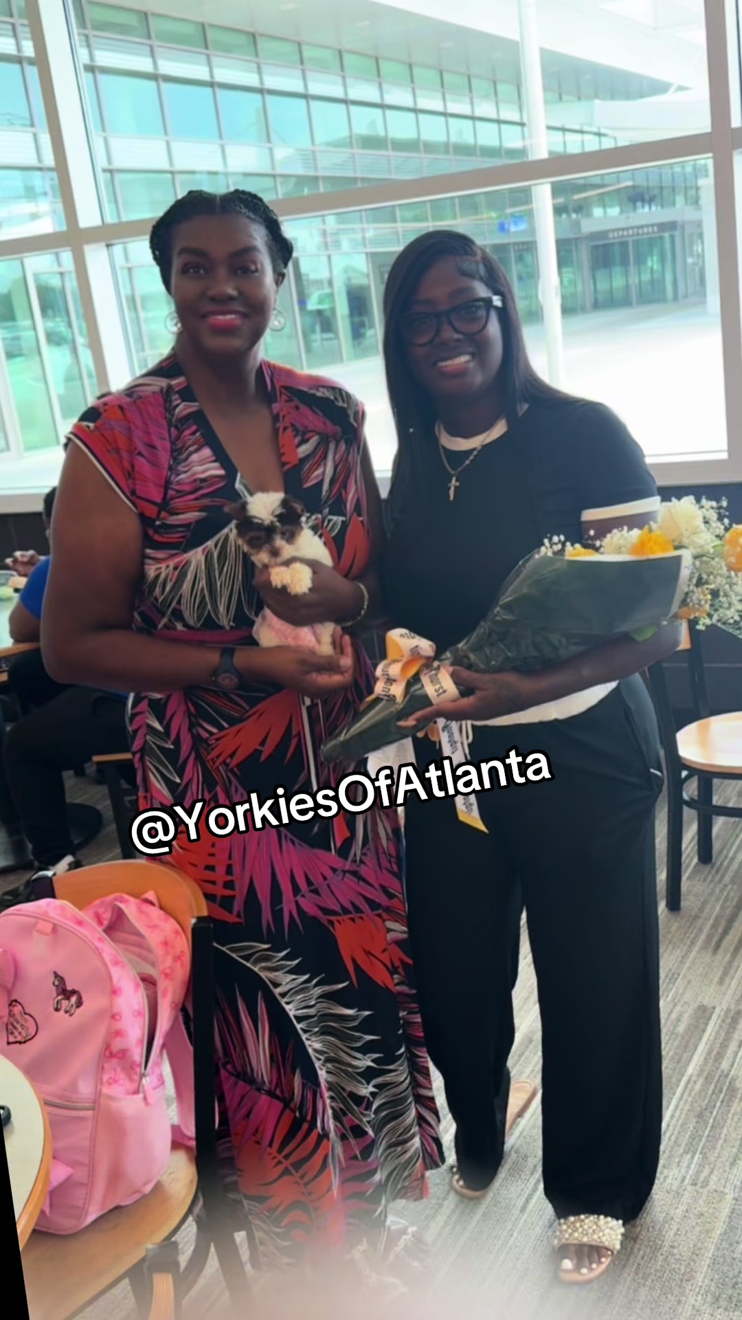 @Yorkies Of Atlanta