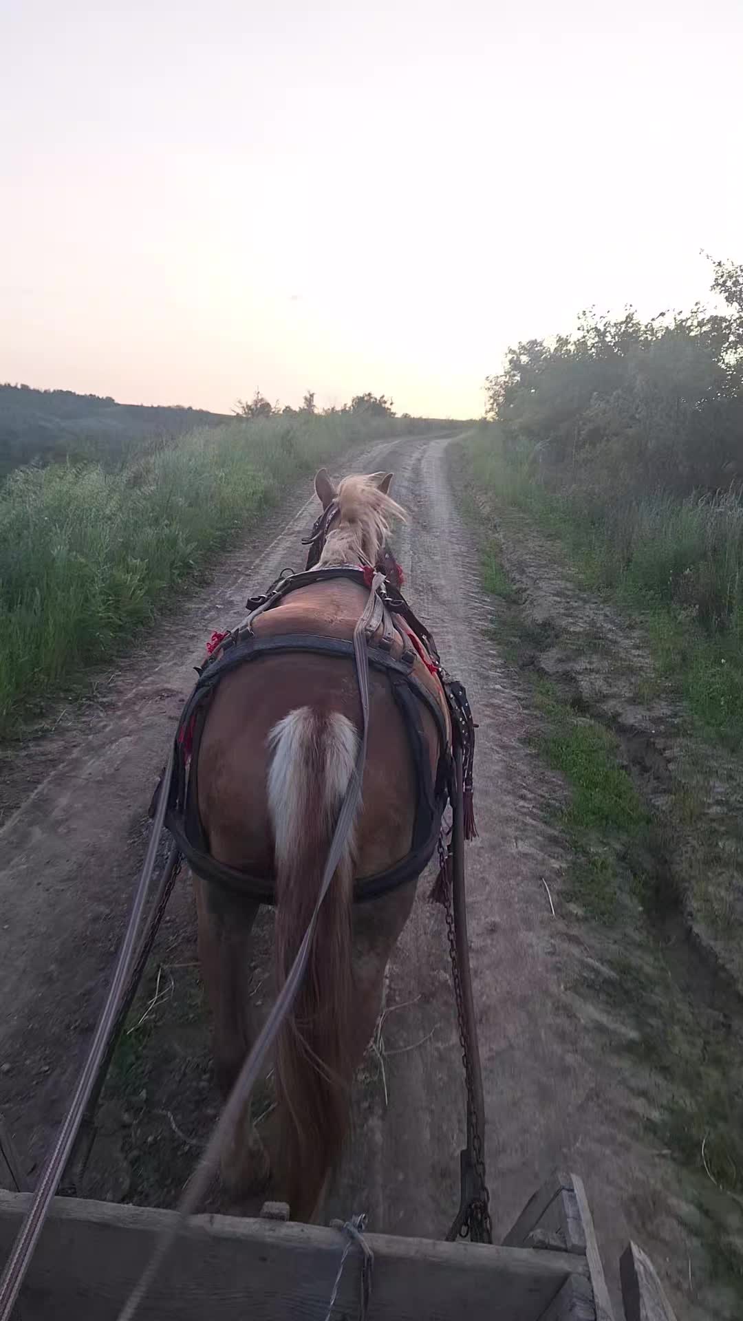 @𝚁ă𝚣𝚟𝚊𝚗❤️