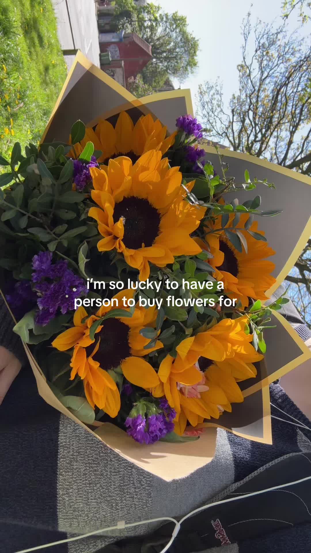 @ladybird